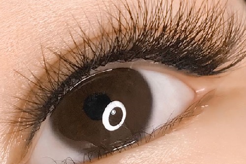 奢妃美睫|不同睫毛,取毛时的正确位置! 奢妃美睫|不同睫毛,取毛时的正确位置!